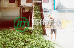 點(diǎn)擊放大 HG銀杏葉烘干機(jī)