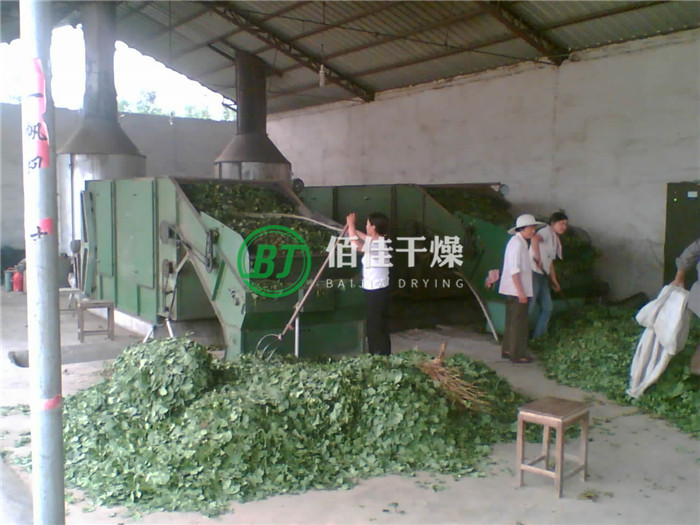點(diǎn)擊放大 HG銀杏葉烘干機(jī)
