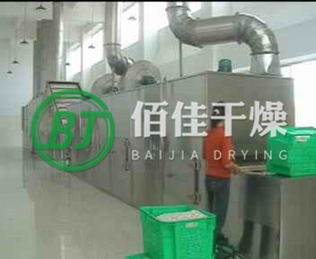 點擊放大 DWT-帶式干燥機(jī)